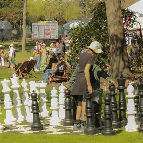 chess